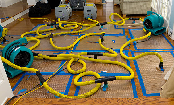 Professional Water Damage Repair technician working in Wood River Junction, RI